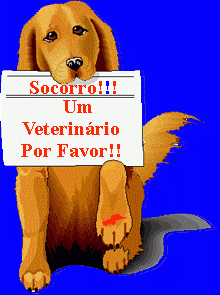Principais doenças que atinge os cães e que a vacina pode evitar. 
